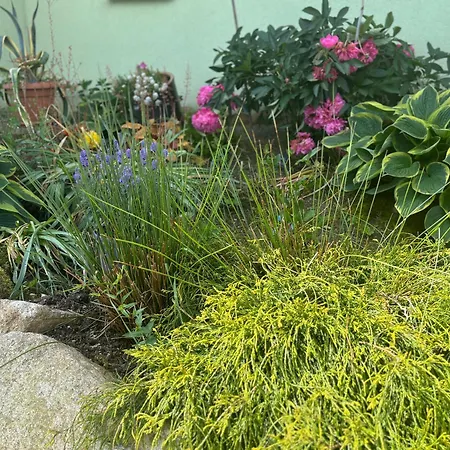 Lejlighed Alisa Karpacz