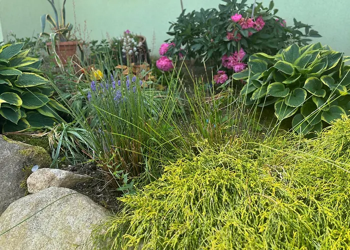 Апартаменты Alisa Карпач